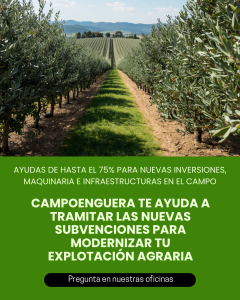 En junio, asegura tu tranquilidad: contrata tu seguro y participa en el sorteo de una maleta de viaje