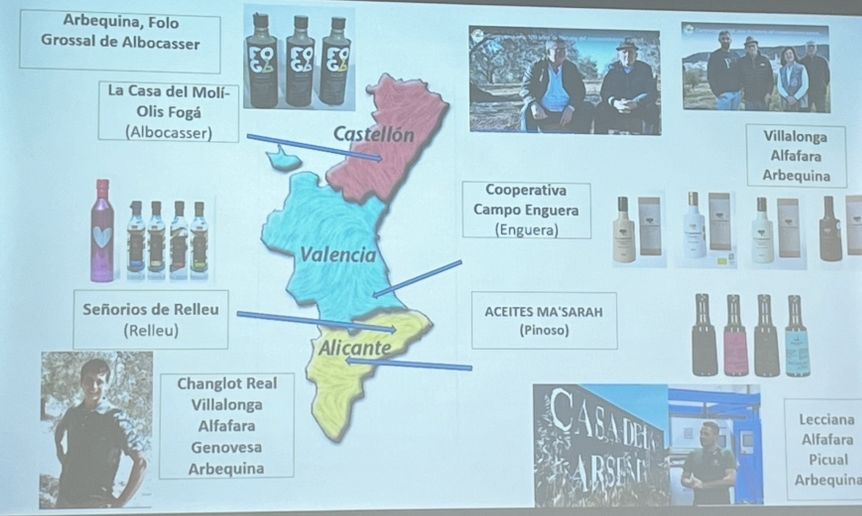 Villalonga de Campo Enguera Brilla en la Gala Iberoleum: Un Reconocimiento a la Calidad y Tradición Oleícola Valenciana