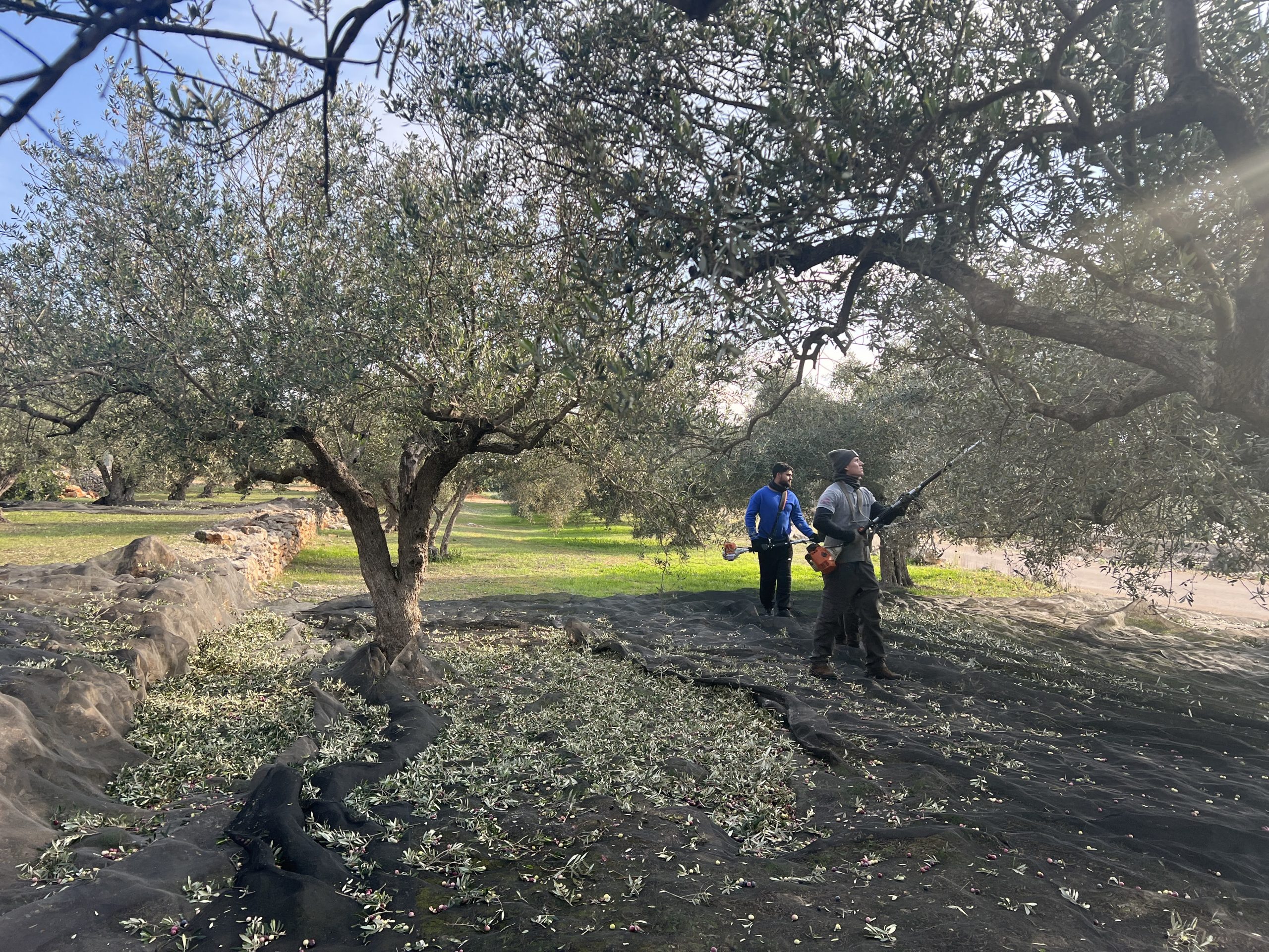 alumnos de ESAO enguera