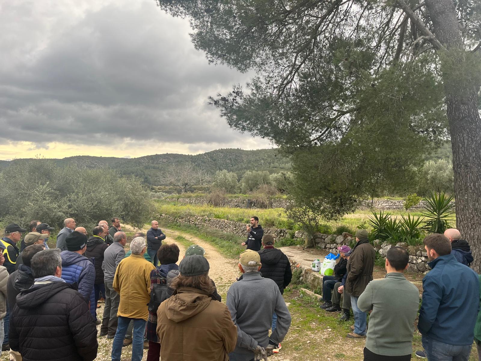 Gran respuesta de los agricultores en la jornada técnica de poda y nutrición de Campoenguera