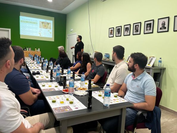 cata de aceites de oliva virgen extra valencia