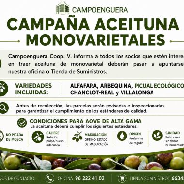 Campoenguera inicia la planificación de la Campaña de Aceituna Monovarietales para aceites de alta gama