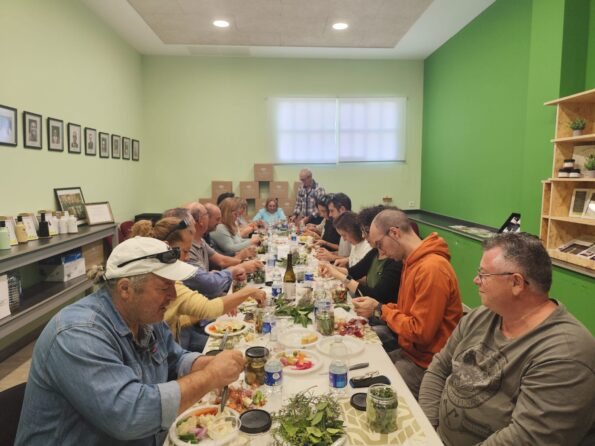 talleres de oleoturismo en valencia