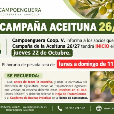Inicio de la Campaña de la Aceituna 26/27 en CampoEnguera el próximo jueves 22 de octubre