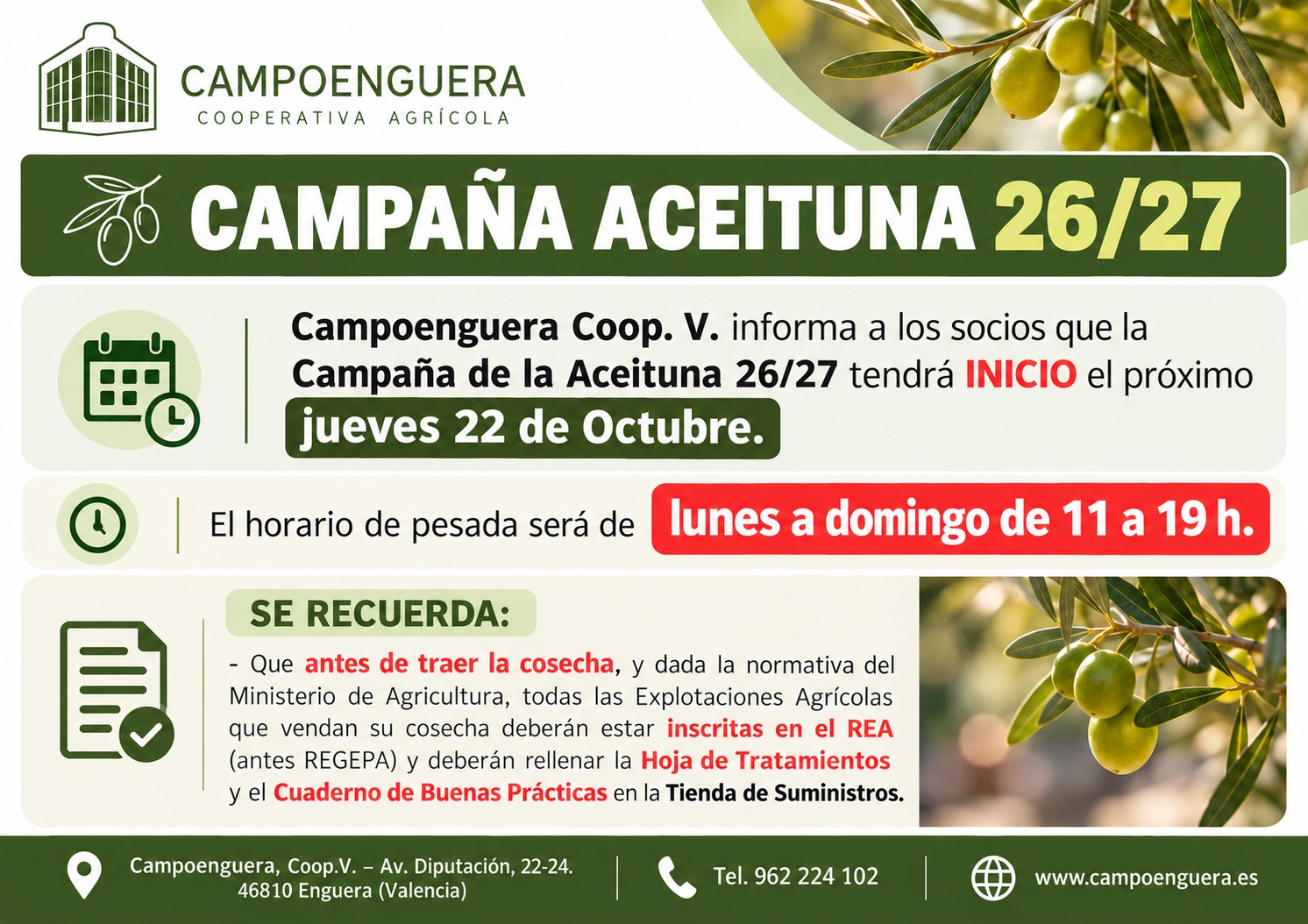 Inicio de la Campaña de la Aceituna
