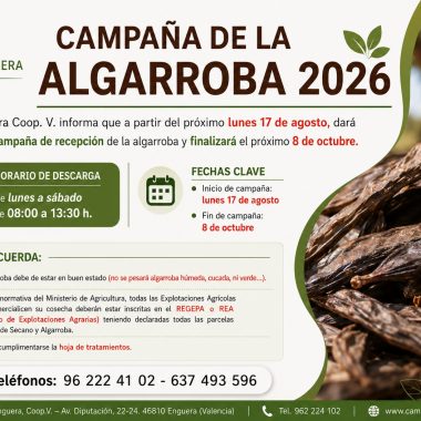 Campoenguera inicia la Campaña de la Algarroba 2026 el próximo 17 de agosto