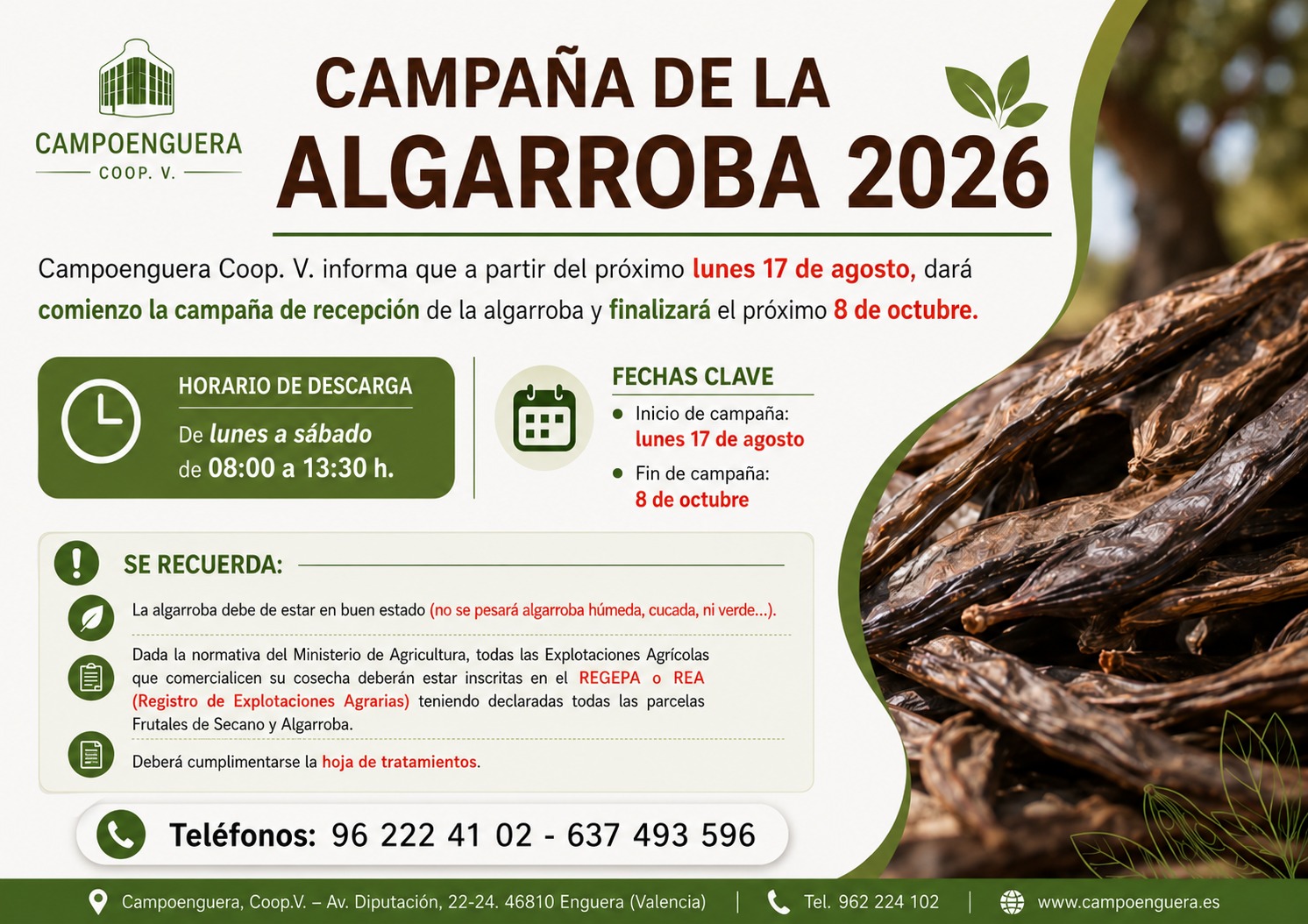 campaña de la algarroba 2026