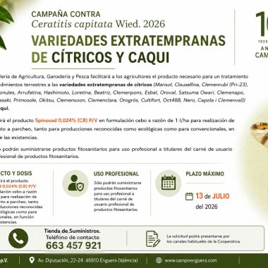 Campoenguera abre el plazo de solicitud del tratamiento contra la Ceratitis capitata Wied para variedades extratempranas de cítricos y caqui