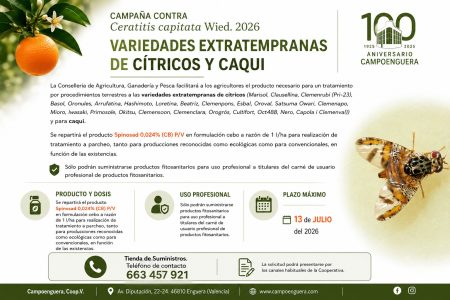 El Oleoturismo vuelve a Campoenguera con una nueva cata de cinco aceites y almuerzo enguerino el próximo 18 de julio