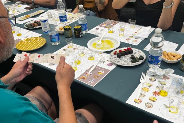 oleoturismo Visitar una almazara en Valencia