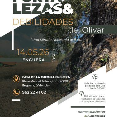 Charla sobre las fortalezas y debilidades del olivar: una mirada al futuro del sector