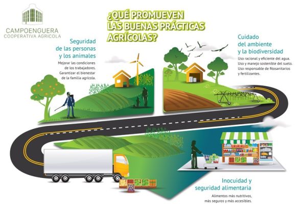 Día Mundial de la Agricultura