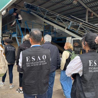 Campoenguera acoge a alumnos de la Escuela Superior de Aceites de Oliva en una jornada formativa sobre olivar y cultura cooperativa