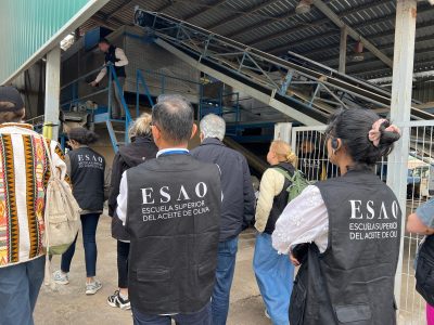 Jornada de Poda del Olivar – 23 de enero