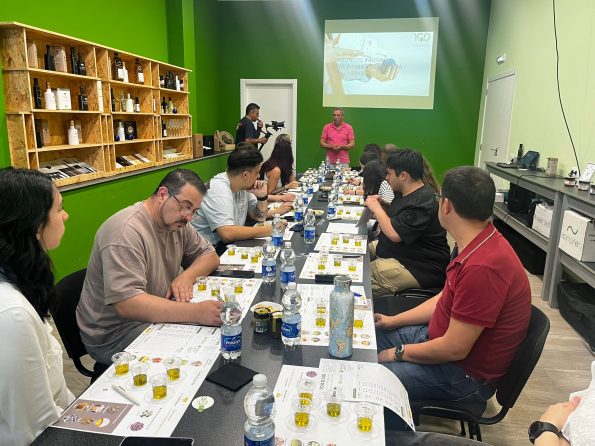 Innovación, talento y producto local: así ha sido el proyecto "L'Or d'Enguera: Innovació Gastronòmica"