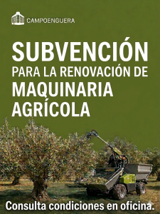 Sabes qué plantar en abril en tu huerto
